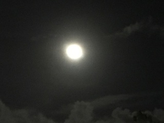 Nov142016 moon.JPG